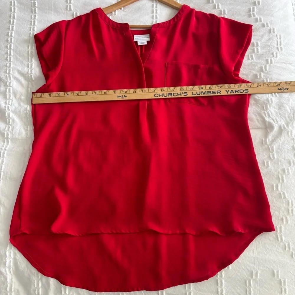 Liz Claiborne Scarlet V-Neck Sheer Blouse - Picture 7 of 9